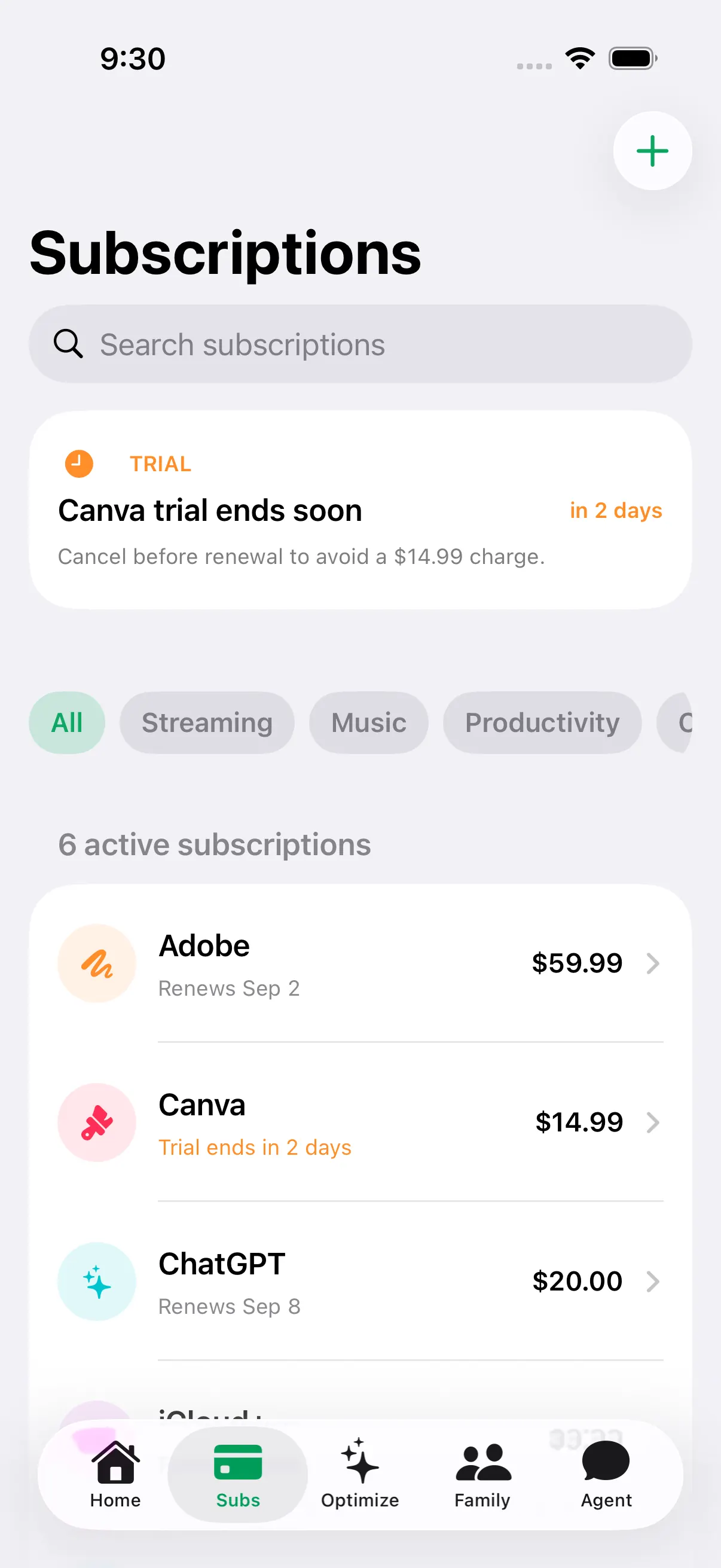 The Subwise subscriptions screen showing a trial warning, filters, and recurring services.